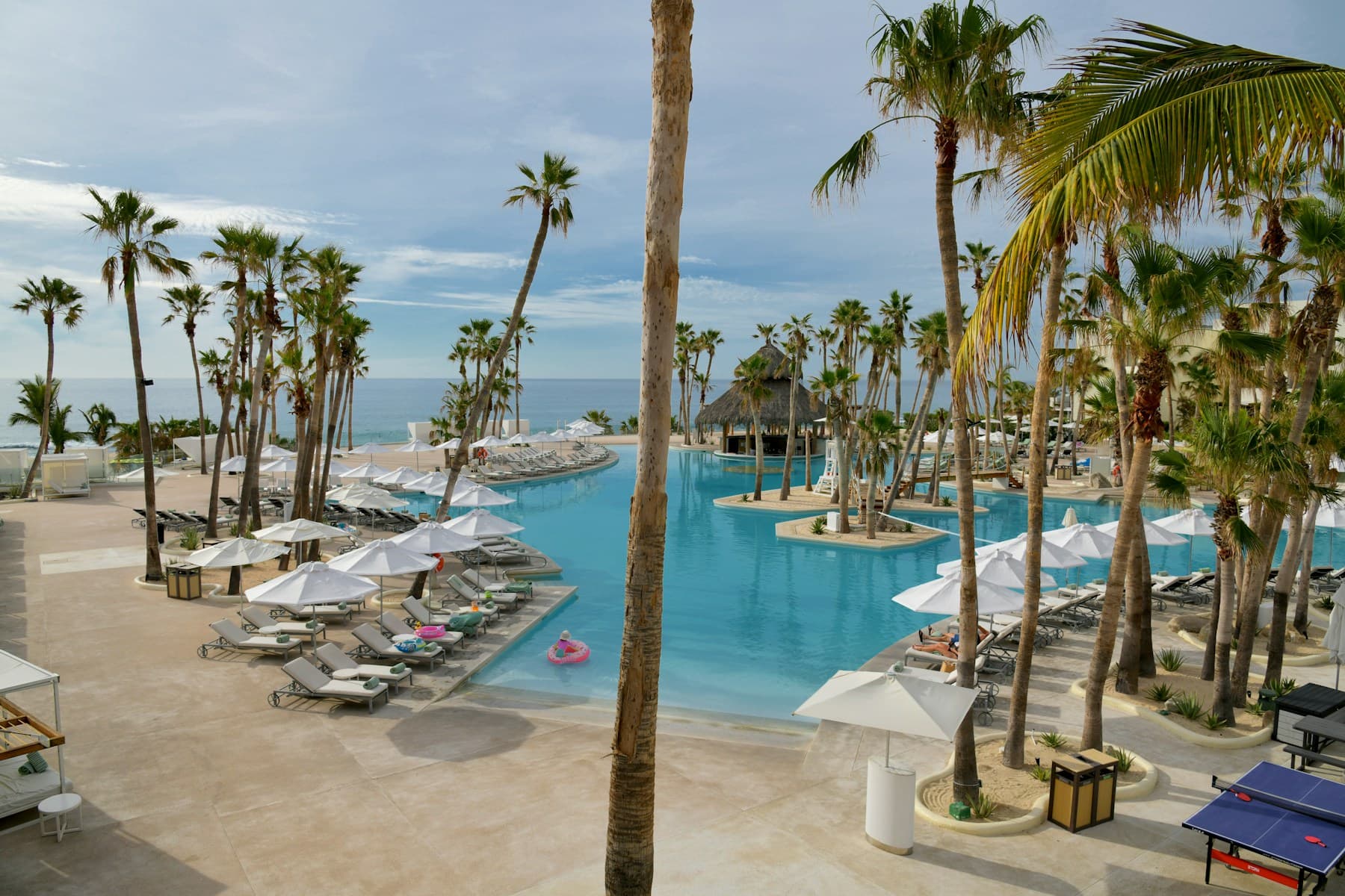 Palm-lined infinity pool overlooking the ocean at an Avena resort